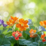 Fleurs colorées embellissant une salade fraîche